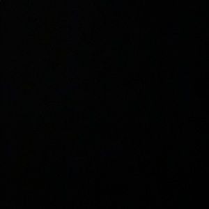 Meet your Posher, Daisy